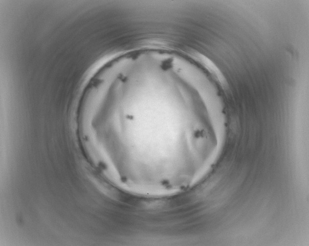 X0000115501435200911271400