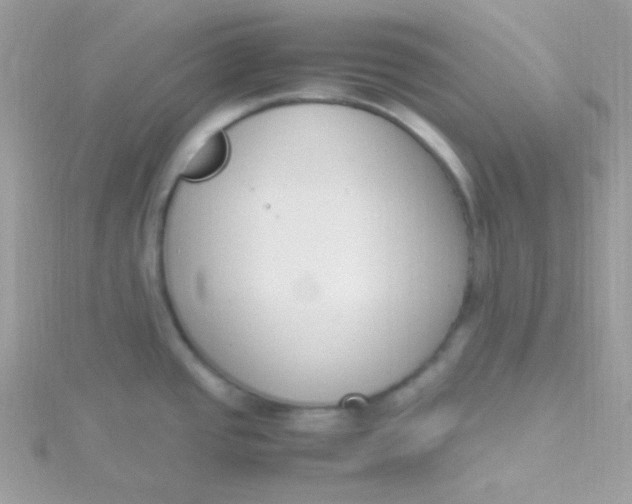 X0000115501437200911271400