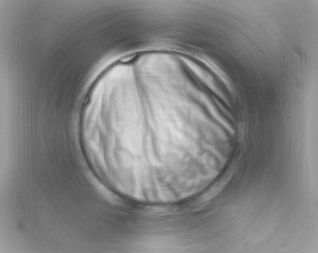 X0000115501438200911271400