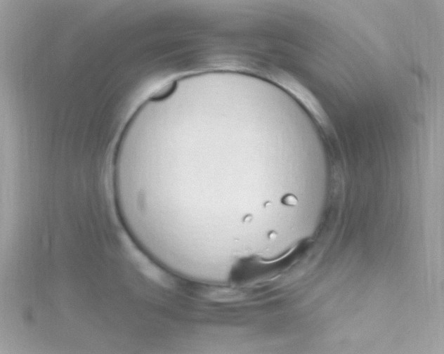 X0000115501439200911271400