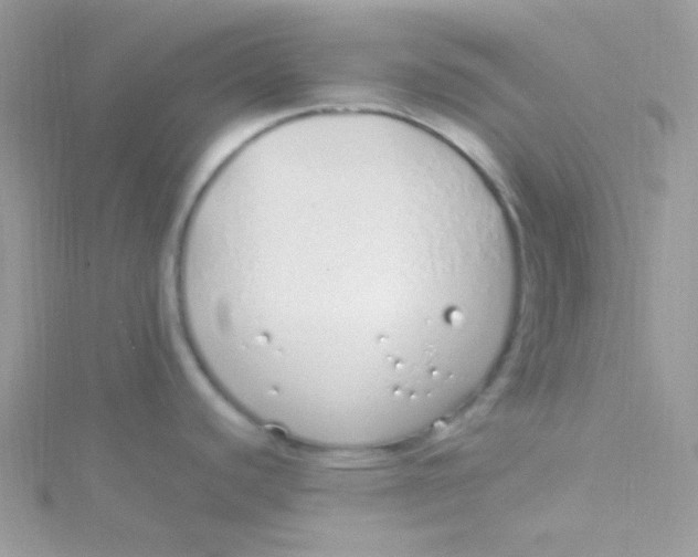 X0000115501440200911271400