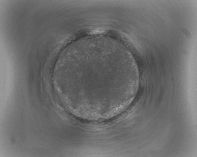 X0000115501441200911271400