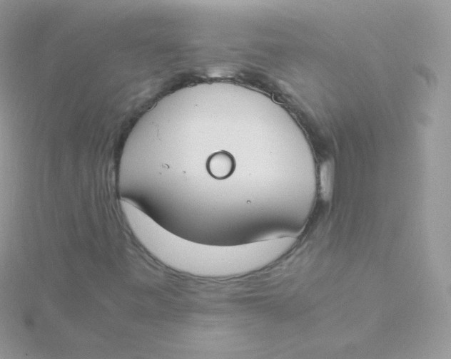 X0000115501443200911271400