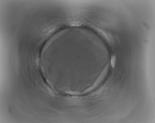 X0000115501444200911271359