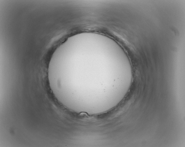 X0000115501447200911271359