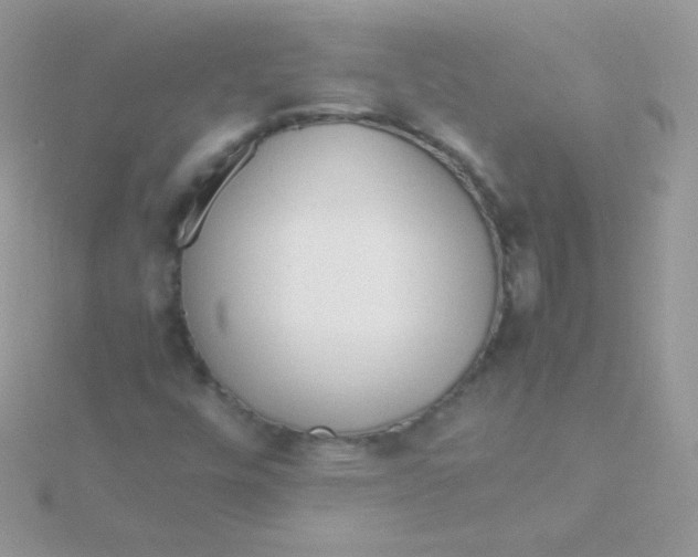 X0000115501448200911271359