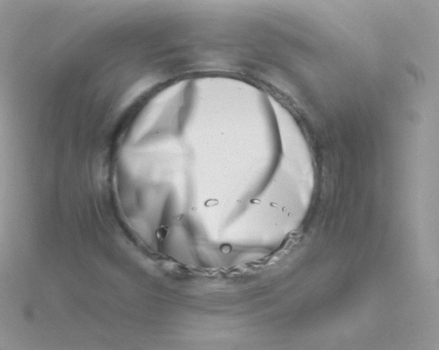 X0000115501450200911271359