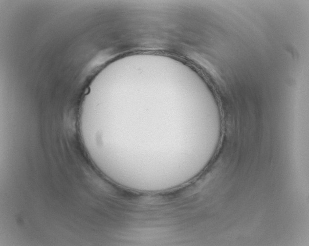 X0000115501451200911271359