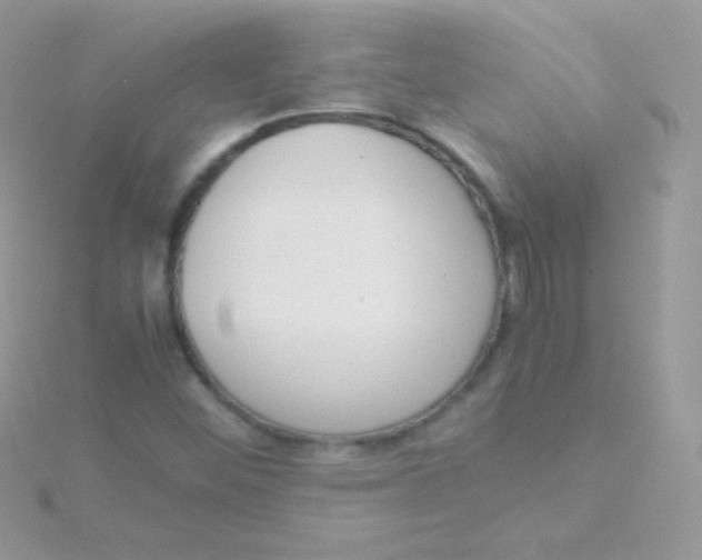 X0000115501452200911271359