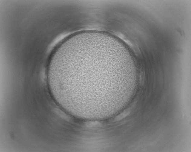 X0000115501454200911271359