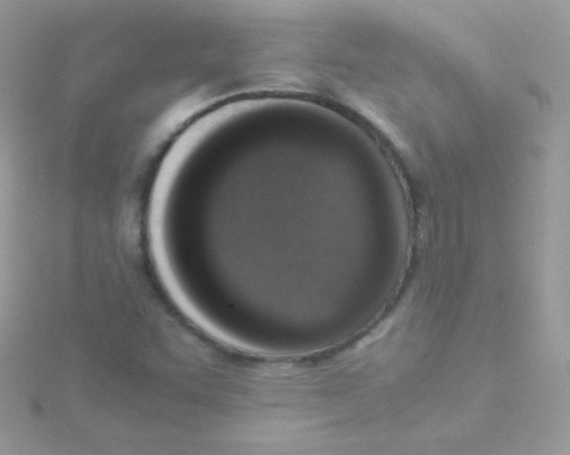 X0000115501455200911271359