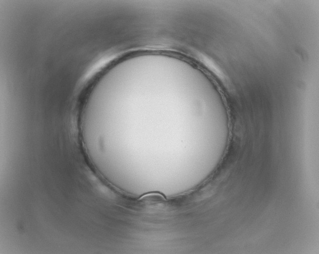 X0000115501456200911271359