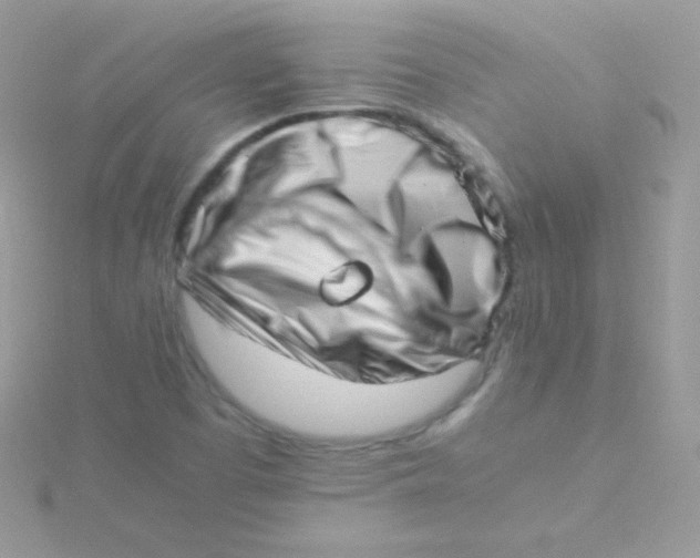 X0000115501457200911271359