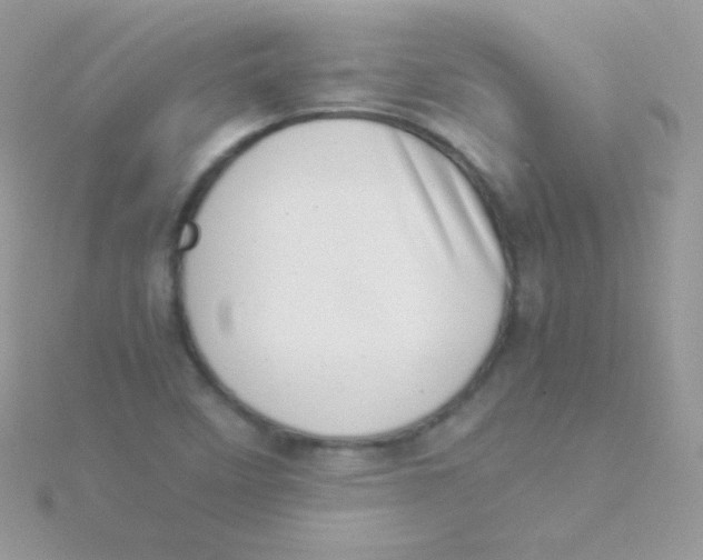 X0000115501458200911271359