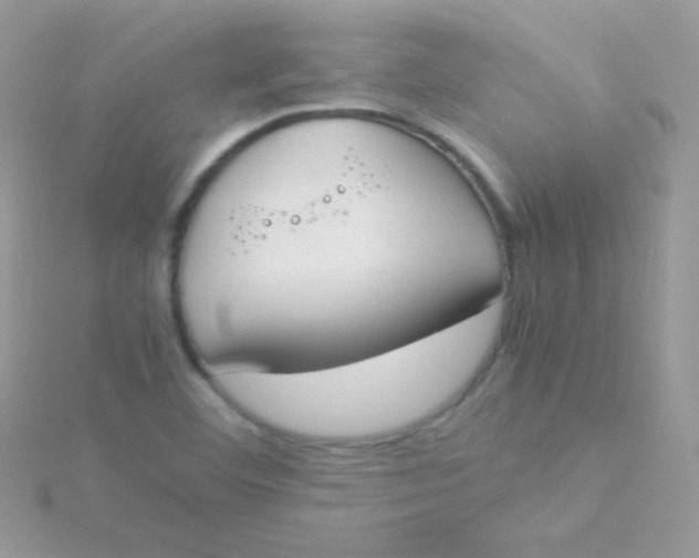 X0000115501460200911271359