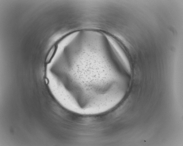 X0000115501461200911271359