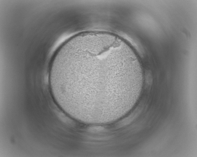 X0000115501462200911271359