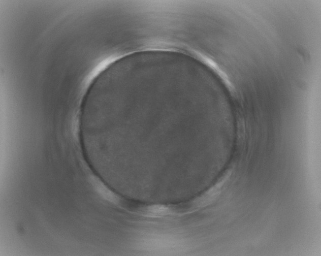 X0000115501463200911271359