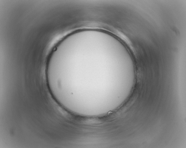 X0000115501464200911271359