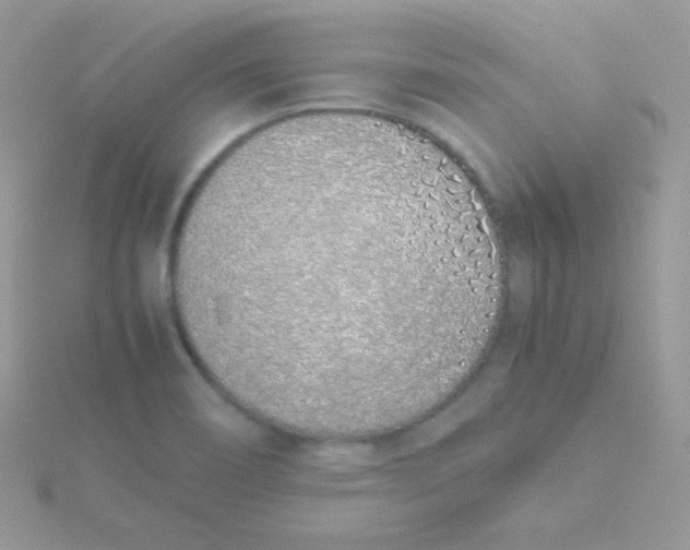 X0000115501466200911271359