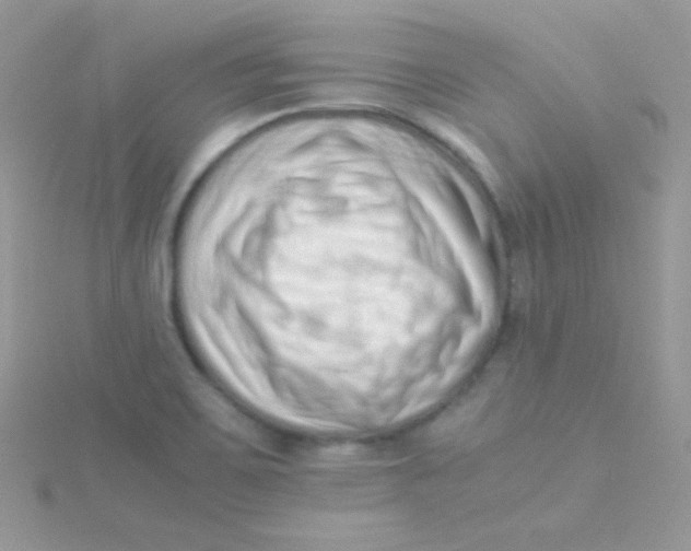 X0000115501467200911271359