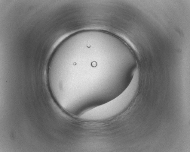 X0000115501468200911271359