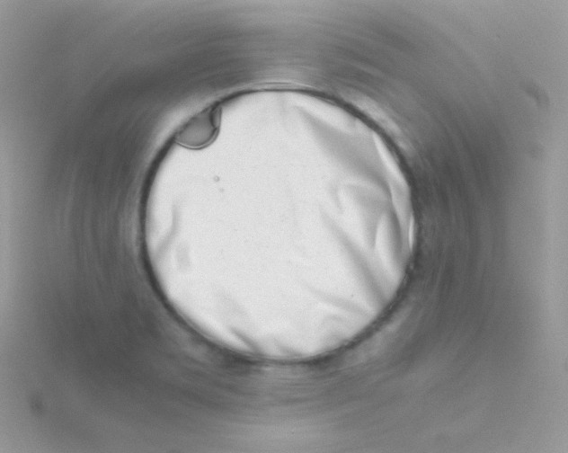 X0000115501469200911271359