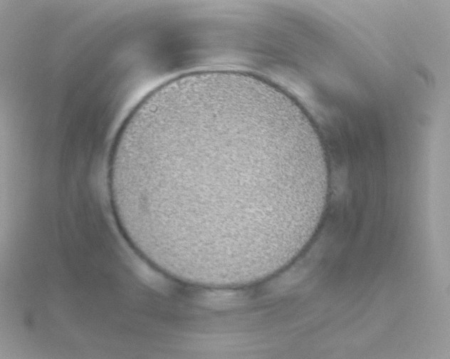 X0000115501470200911271359