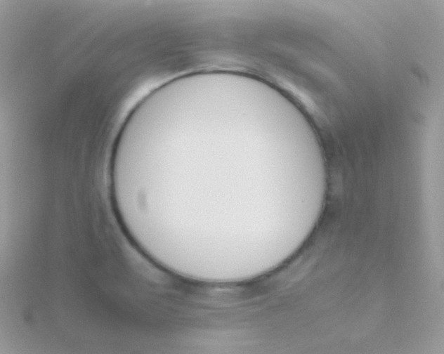 X0000115501471200911271359