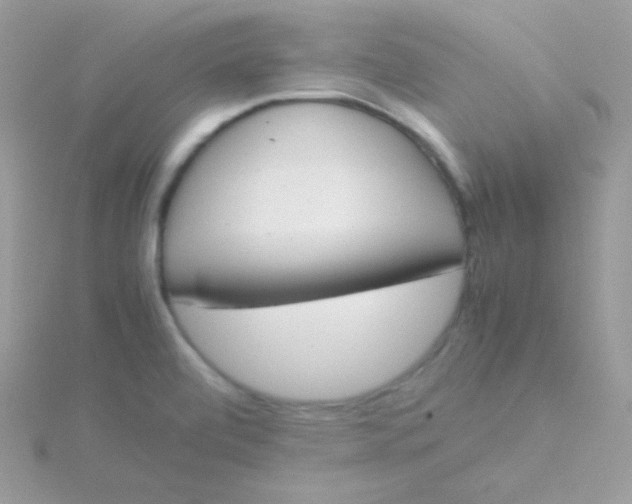 X0000115501472200911271359