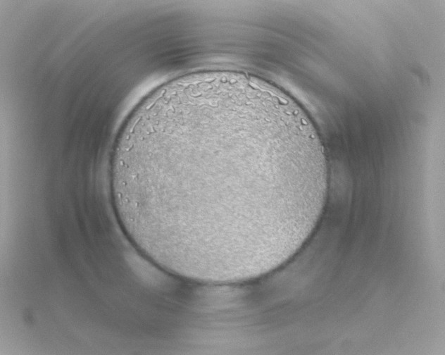 X0000115501474200911271359