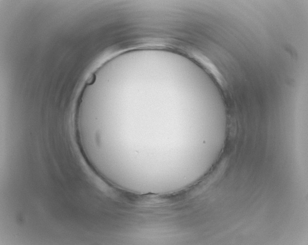 X0000115501475200911271359