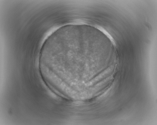 X0000115501477200911271359