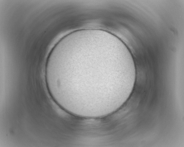 X0000115501478200911271359