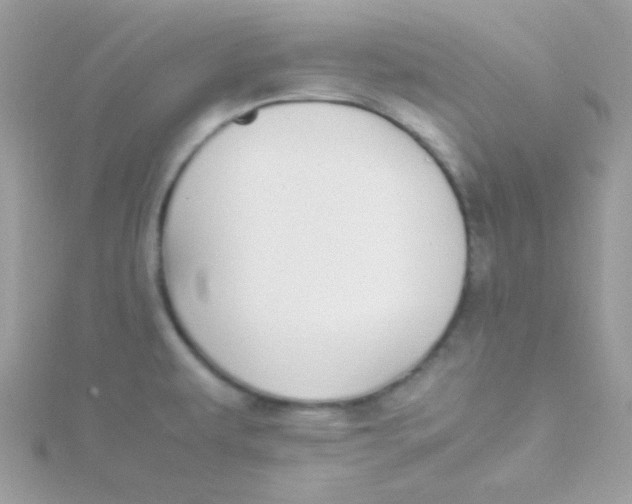 X0000115501479200911271359