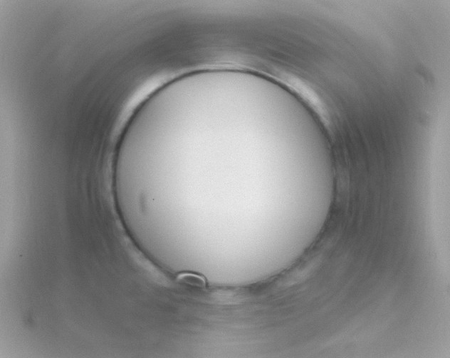 X0000115501480200911271359