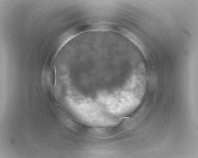 X0000115501481200911271359