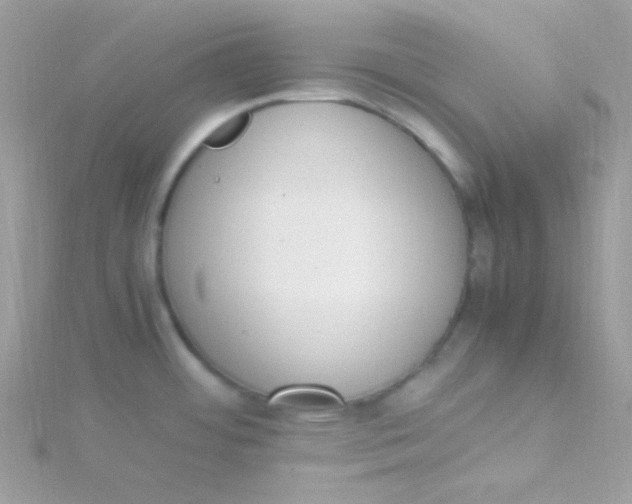 X0000115501484200911271359