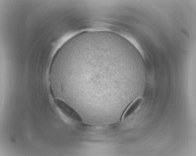 X0000115501485200911271359