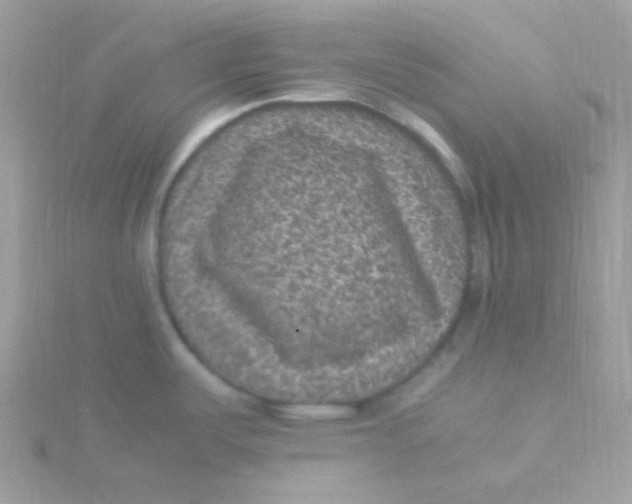 X0000115501487200911271359