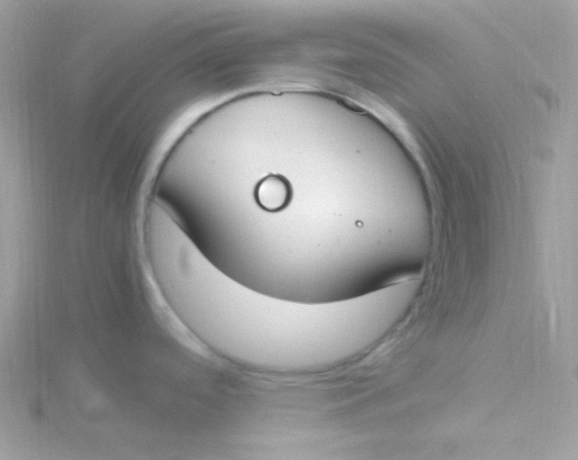 X0000115501488200911271359