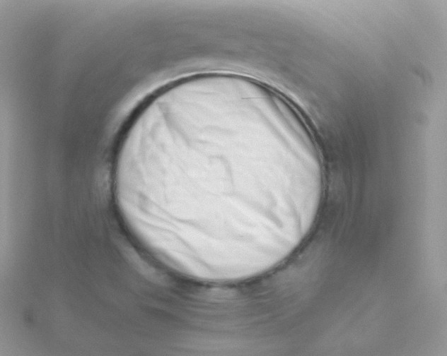 X0000115501503200911271359