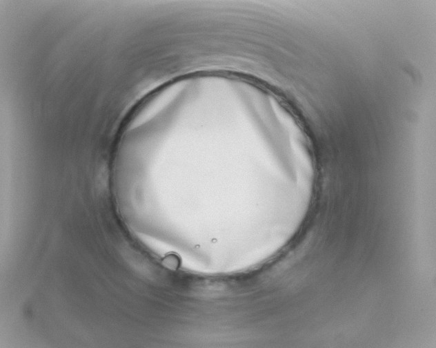 X0000115501505200911271359