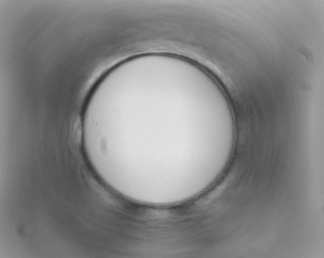 X0000115501509200911271359