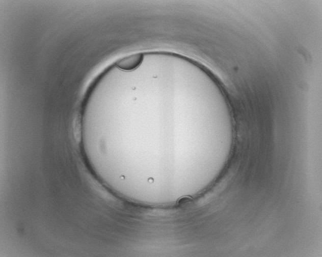 X0000115501510200911271359