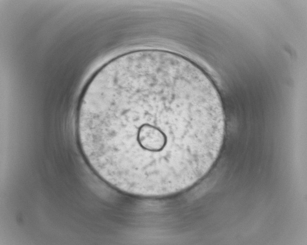 X0000115501514200911271359