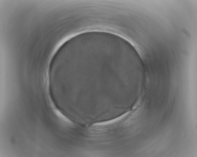 X0000115501515200911271359