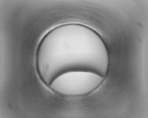 X0000115501518200911271359