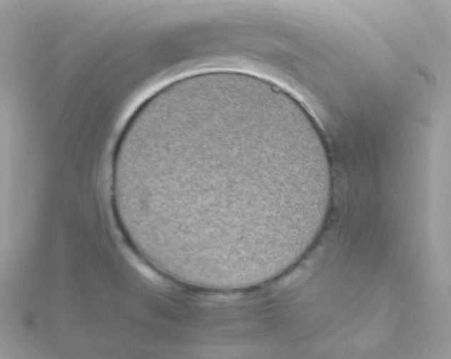 X0000115501519200911271359