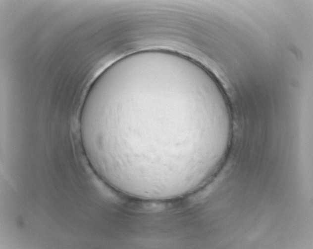 X0000115501521200911271359